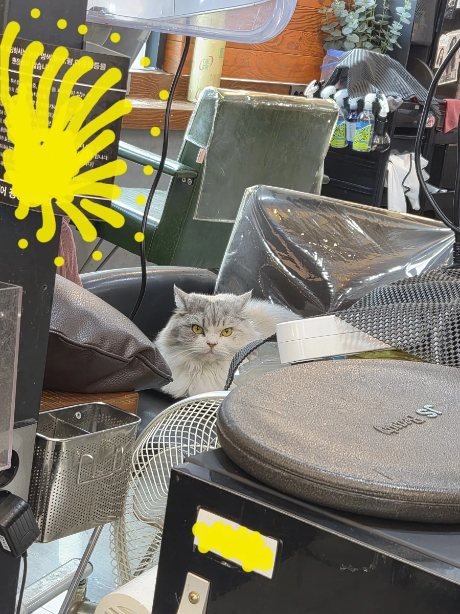 900%EF%BC%BF20251113%EF%BC%BF105932.jpg?type=w1