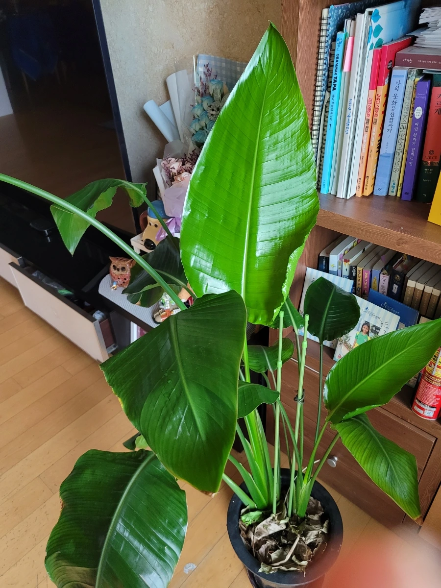 900%EF%BC%BF20250523%EF%BC%BF084025.jpg?type=w1