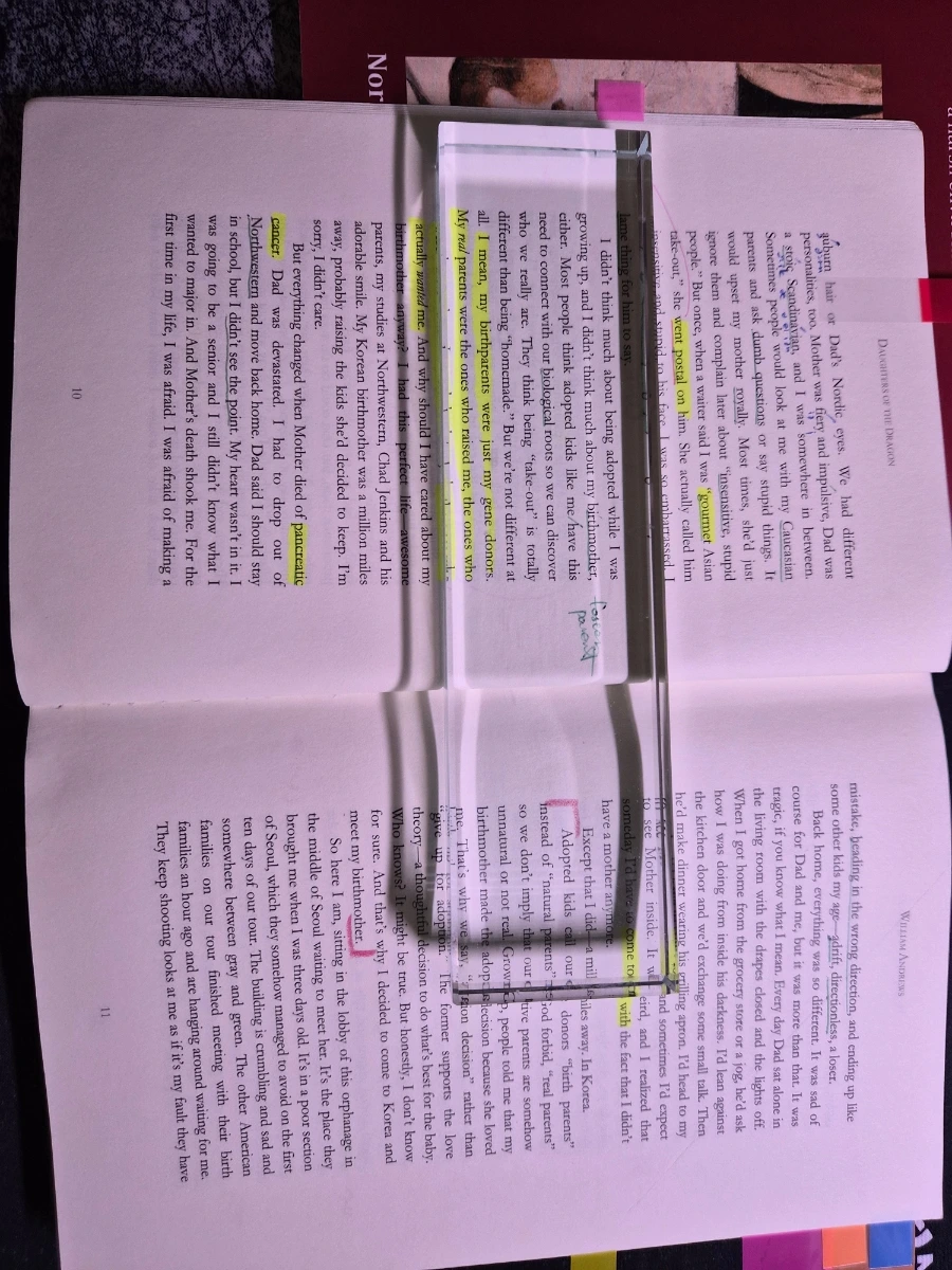 900%EF%BC%BF20251125%EF%BC%BF104324.jpg?type=w1