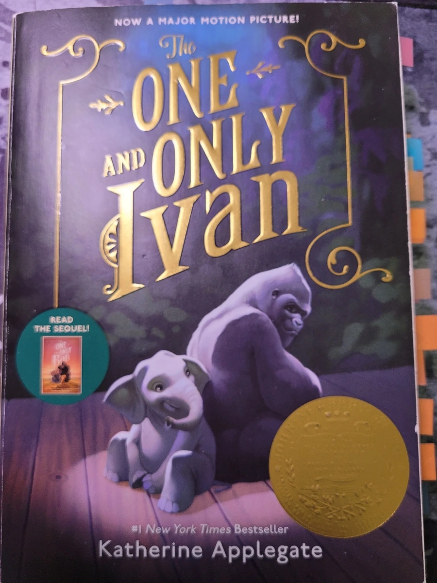 900%EF%BC%BF20250308%EF%BC%BF103729.jpg?type=w1