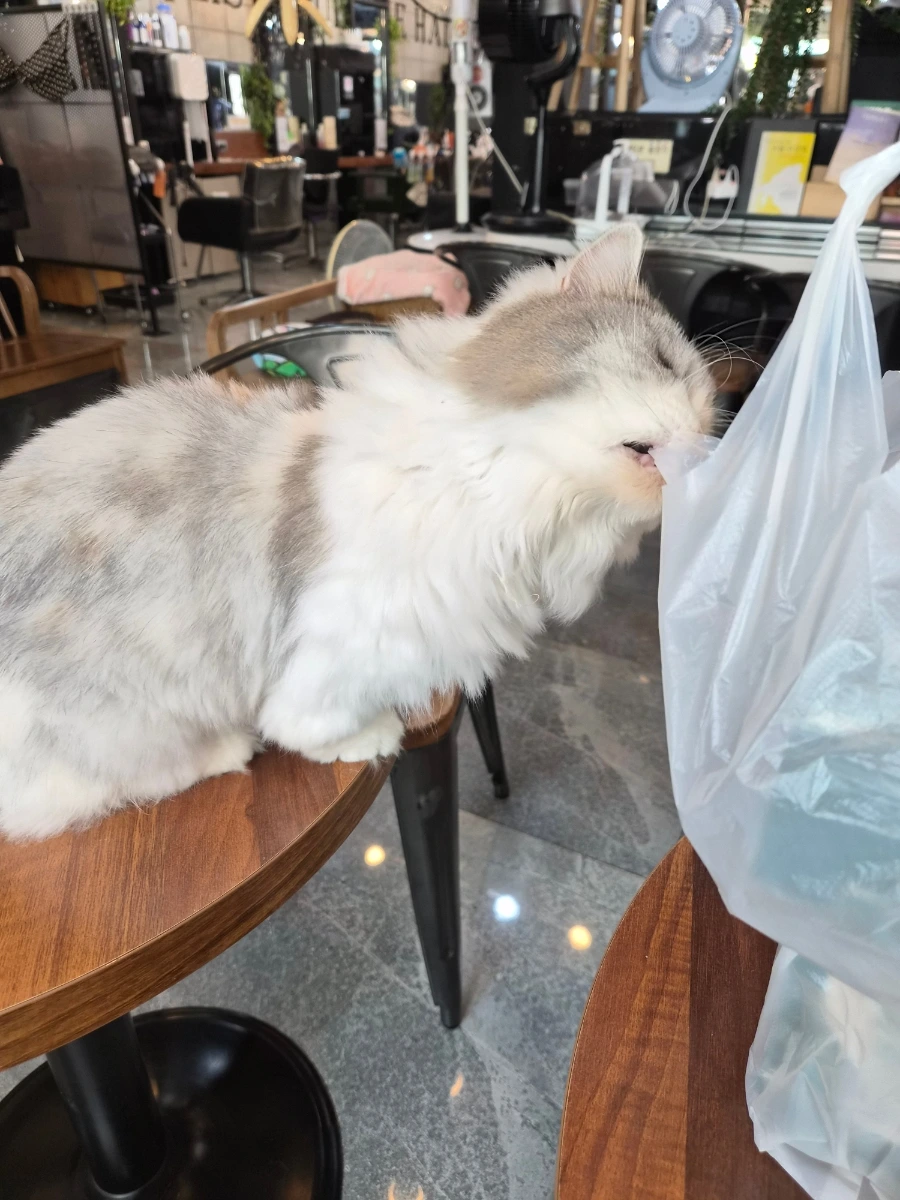 900%EF%BC%BF20251002%EF%BC%BF113440.jpg?type=w1