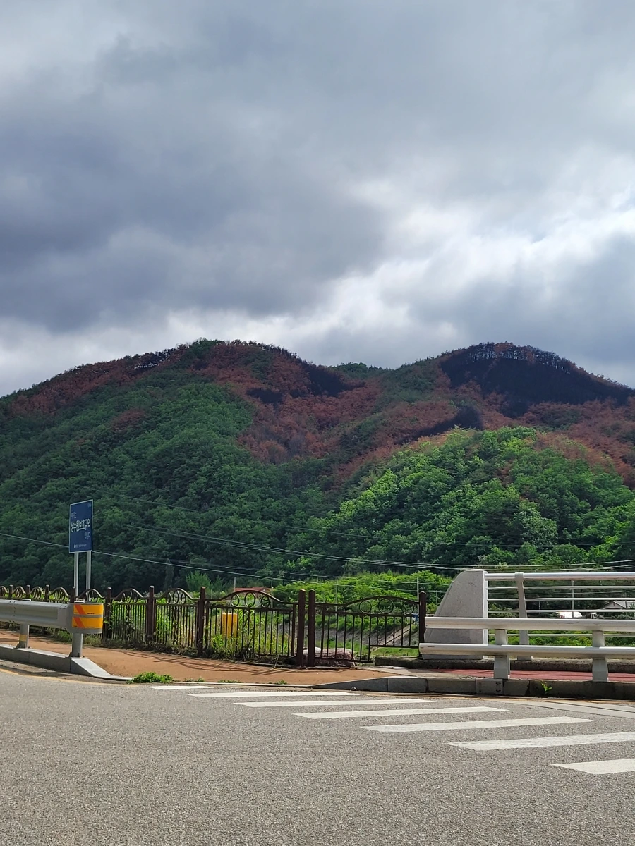 900%EF%BC%BF20250517%EF%BC%BF093433.jpg?type=w1