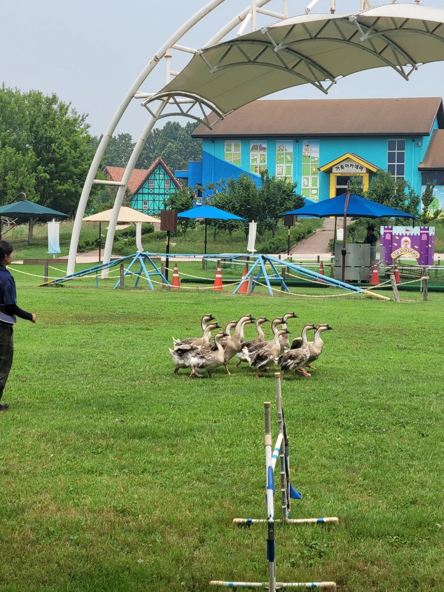 900%EF%BC%BF20250627%EF%BC%BF134629.jpg?type=w1