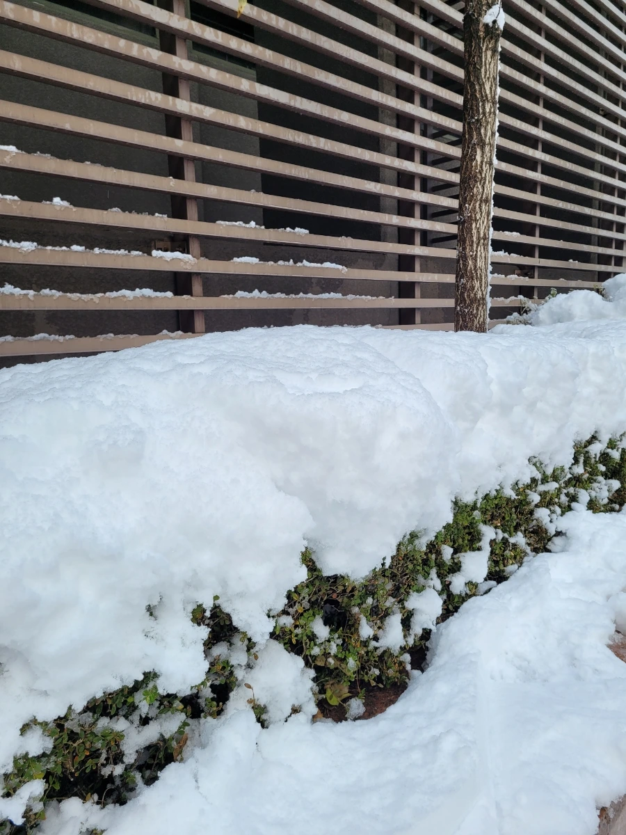 900%EF%BC%BF20241128%EF%BC%BF091240.jpg?type=w1