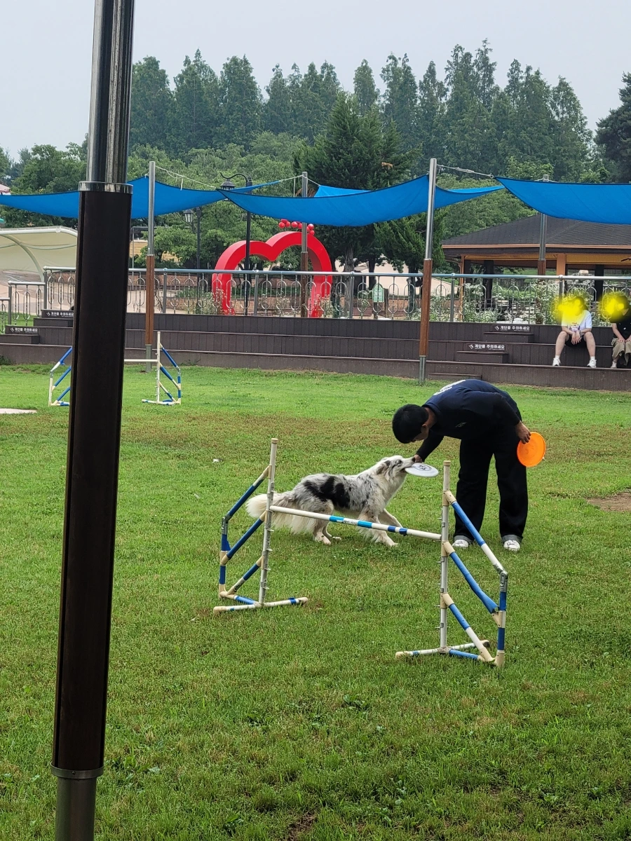 900%EF%BC%BF20250627%EF%BC%BF134236.jpg?type=w1