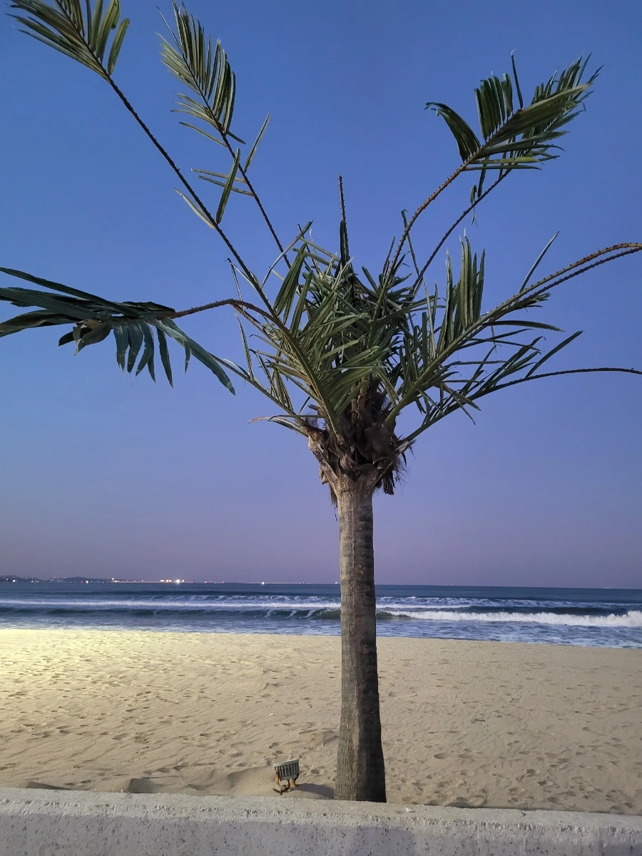 900%EF%BC%BF20241224%EF%BC%BF173831.jpg?type=w1