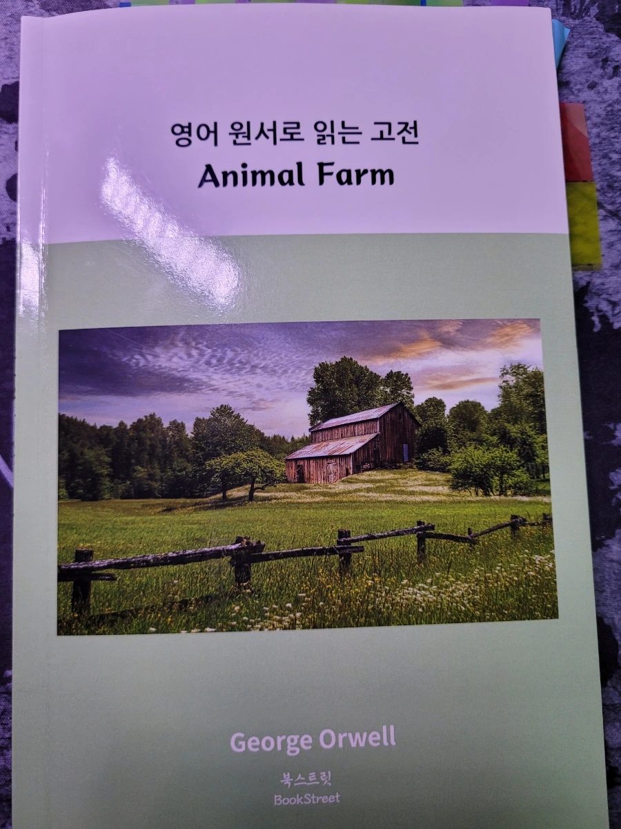 900%EF%BC%BF20250115%EF%BC%BF200025.jpg?type=w1