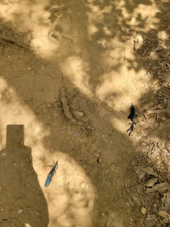 20240414%EF%BC%BF120225.jpg?type=w580