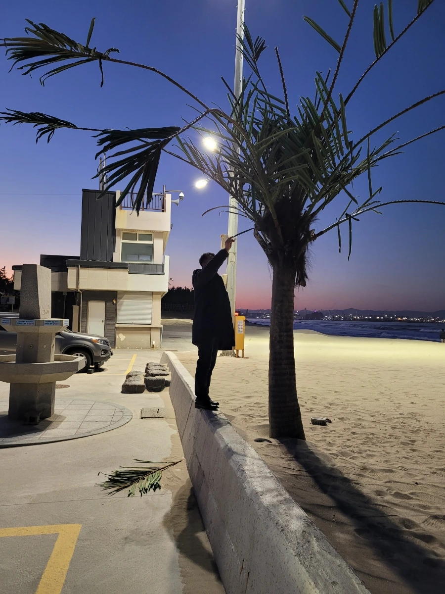 900%EF%BC%BF20241224%EF%BC%BF173858.jpg?type=w1