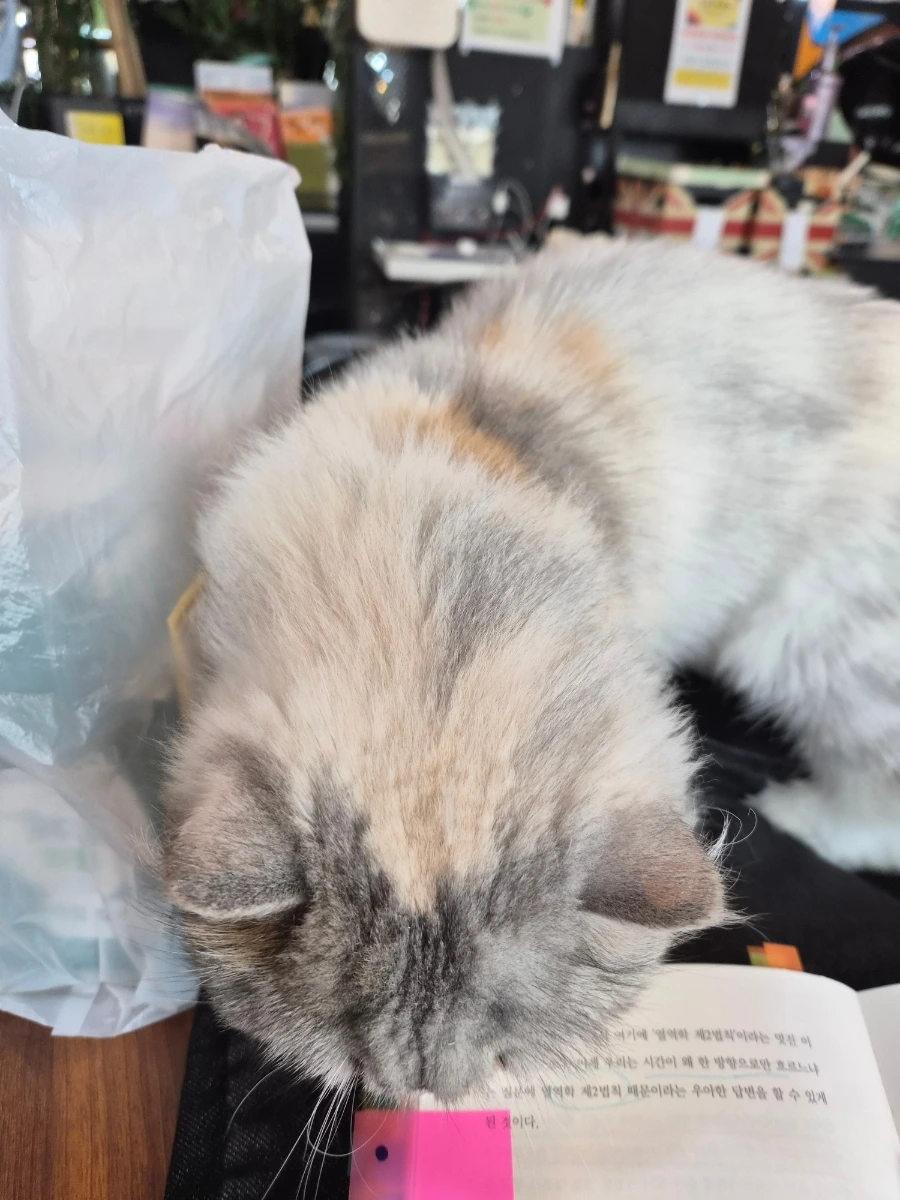 900%EF%BC%BF20251002%EF%BC%BF113355.jpg?type=w1