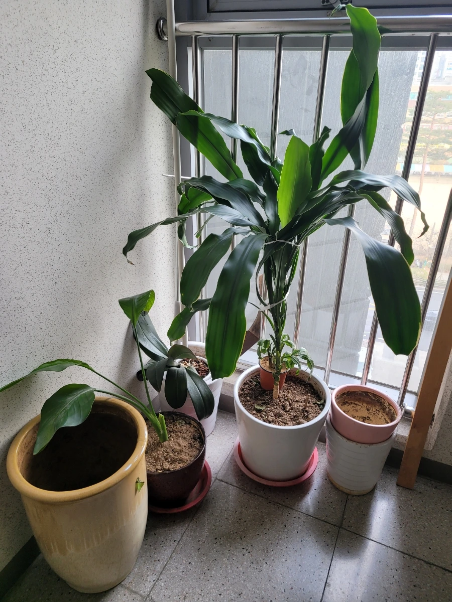 900%EF%BC%BF20250308%EF%BC%BF094659.jpg?type=w1