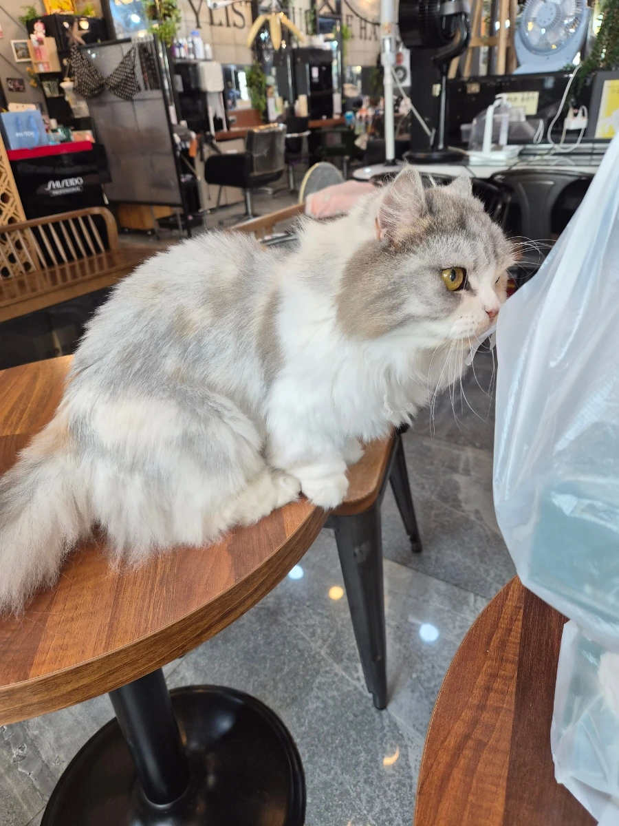 900%EF%BC%BF20251002%EF%BC%BF113411.jpg?type=w1