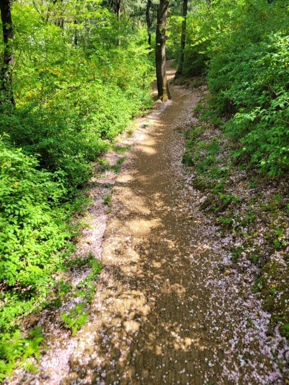 20240414%EF%BC%BF115258.jpg?type=w580