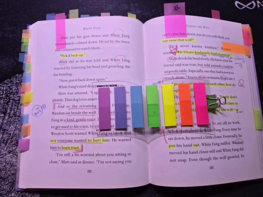 900%EF%BC%BF20251008%EF%BC%BF135938.jpg?type=w1