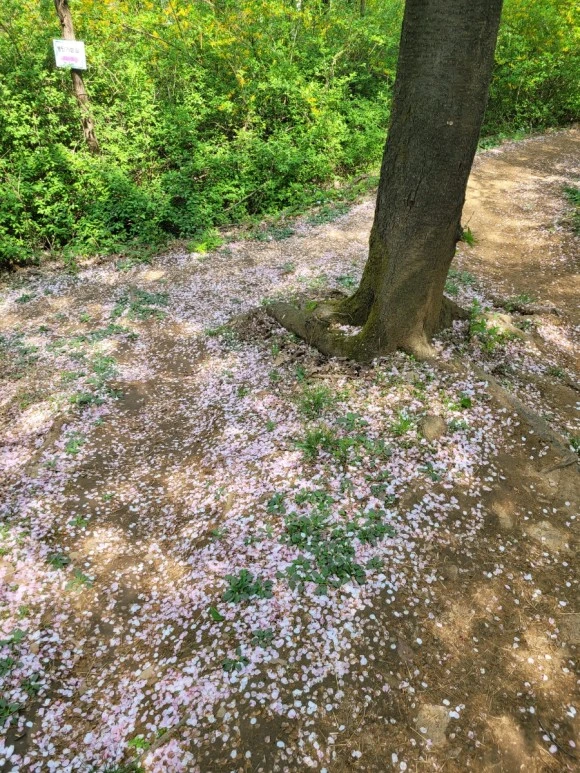 20240414%EF%BC%BF115241.jpg?type=w580