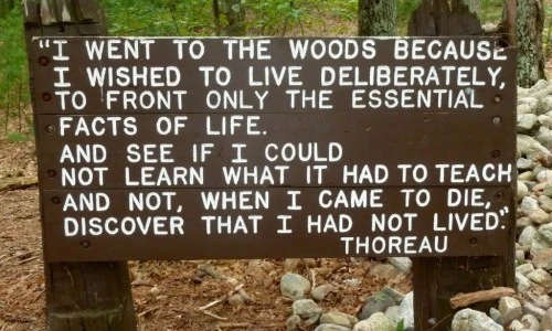 ?src=%22https%3A%2F%2Fres.cloudinary.com%2Fdrt2tlz1j%2Fimages%2Ff_auto%2Cq_auto%2Fv1675866981%2Ffn1%2FThoreau-Quote-Sign-Version-2-1024x688%2FThoreau-Quote-Sign-Version-2-1024x688.jpg%3F_i%3DAA%22&type=ff500_300