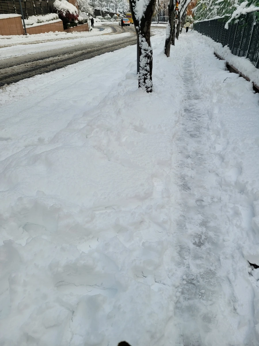 900%EF%BC%BF20241128%EF%BC%BF091355.jpg?type=w1