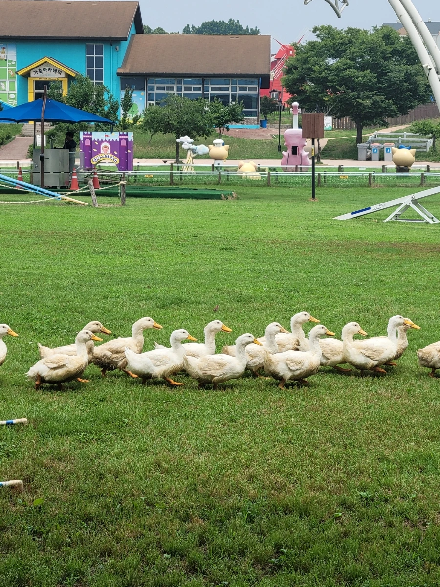 900%EF%BC%BF20250627%EF%BC%BF134627.jpg?type=w1