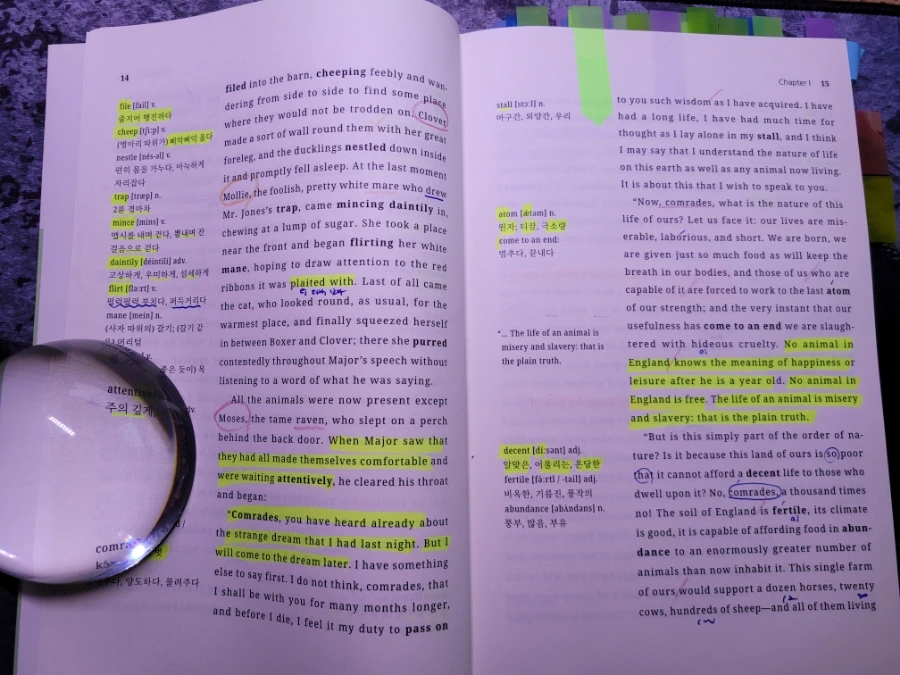 900%EF%BC%BF20250115%EF%BC%BF200049.jpg?type=w1