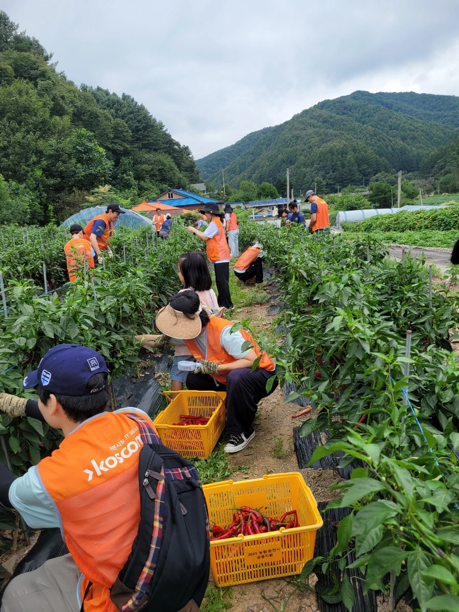 900%EF%BC%BF20250823%EF%BC%BF113659.jpg?type=w1