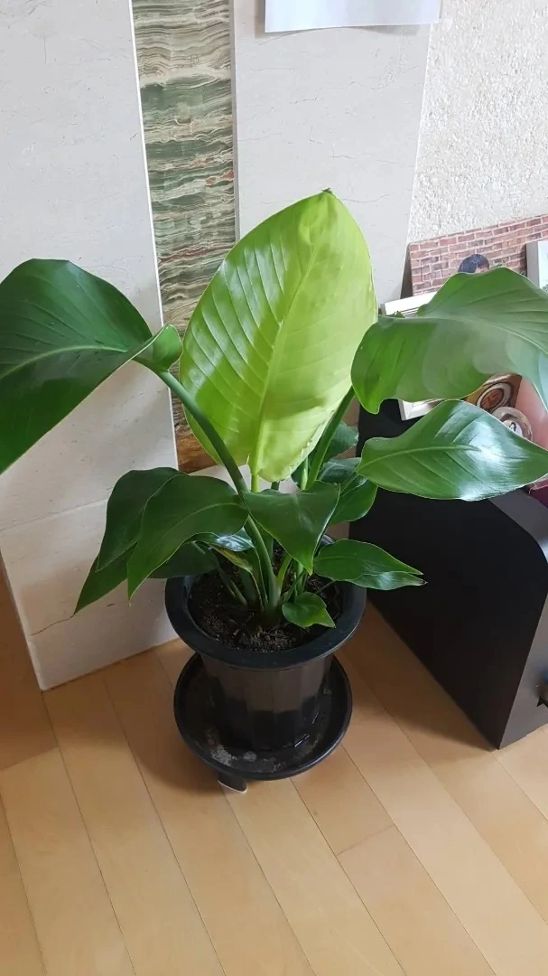 1749426712215.jpg?type=w1