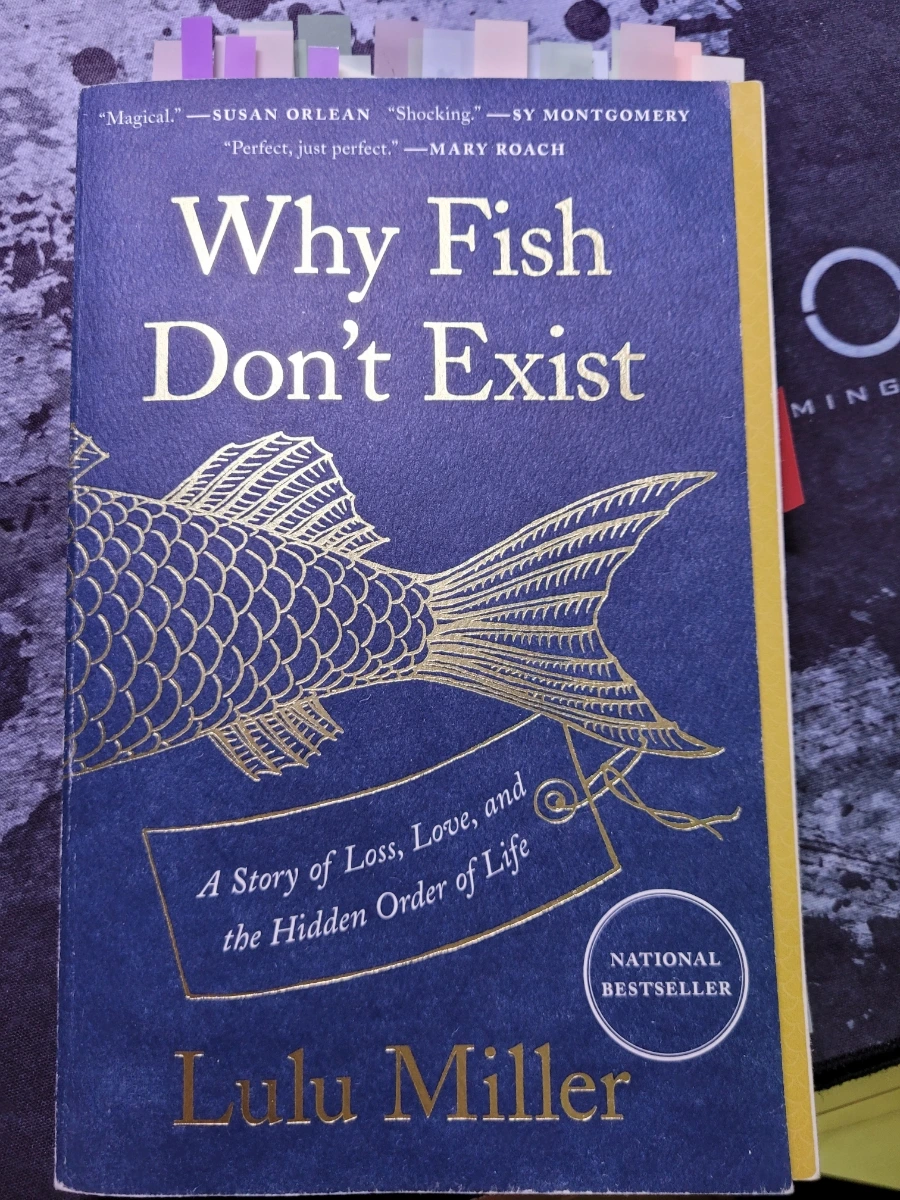 20240306%EF%BC%BF220025.jpg?type=w1