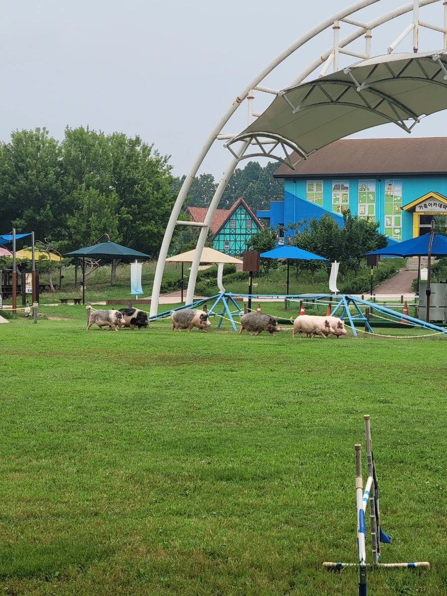 900%EF%BC%BF20250627%EF%BC%BF134438.jpg?type=w1