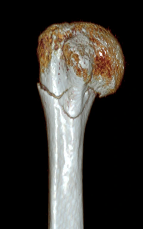 1738826362323.png?type=w1