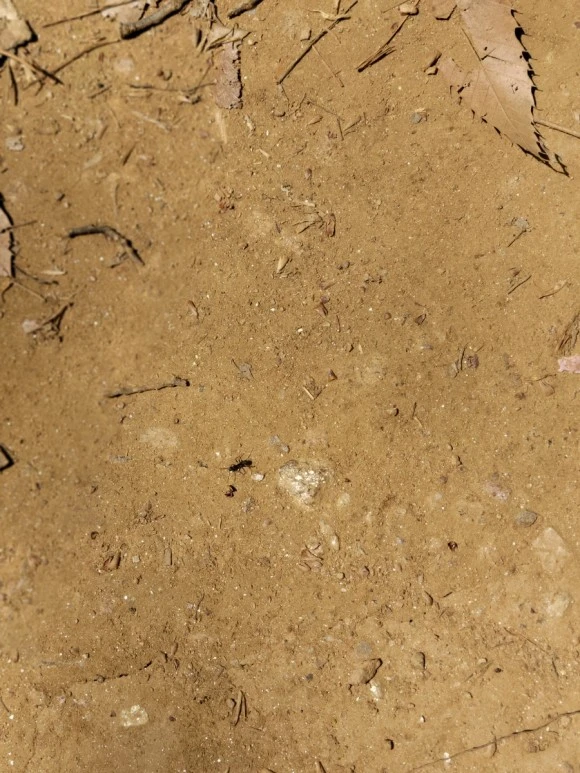 20240414%EF%BC%BF121222.jpg?type=w580