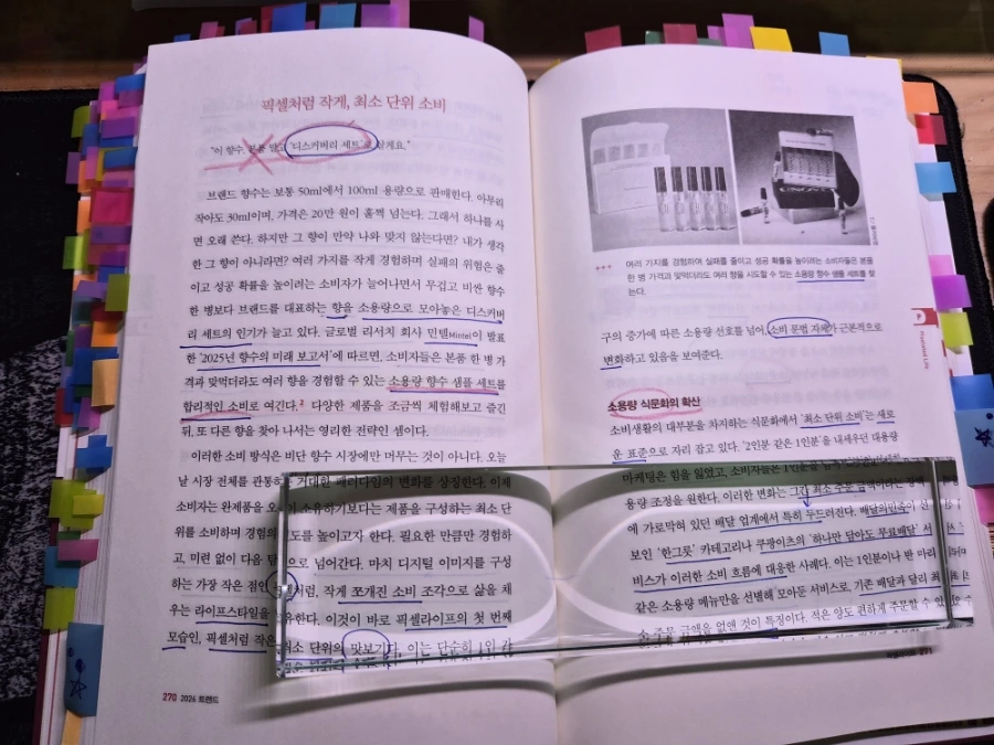 900%EF%BC%BF20251115%EF%BC%BF110257.jpg?type=w1