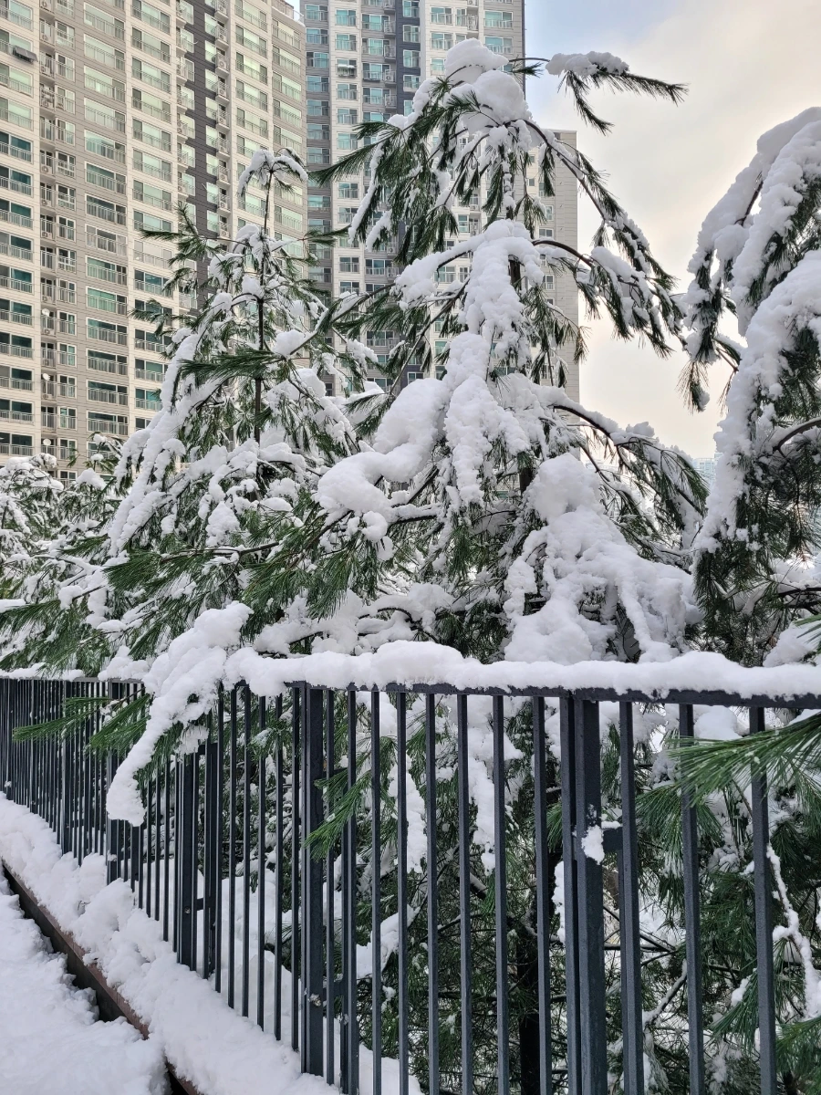 900%EF%BC%BF20241128%EF%BC%BF091408.jpg?type=w1