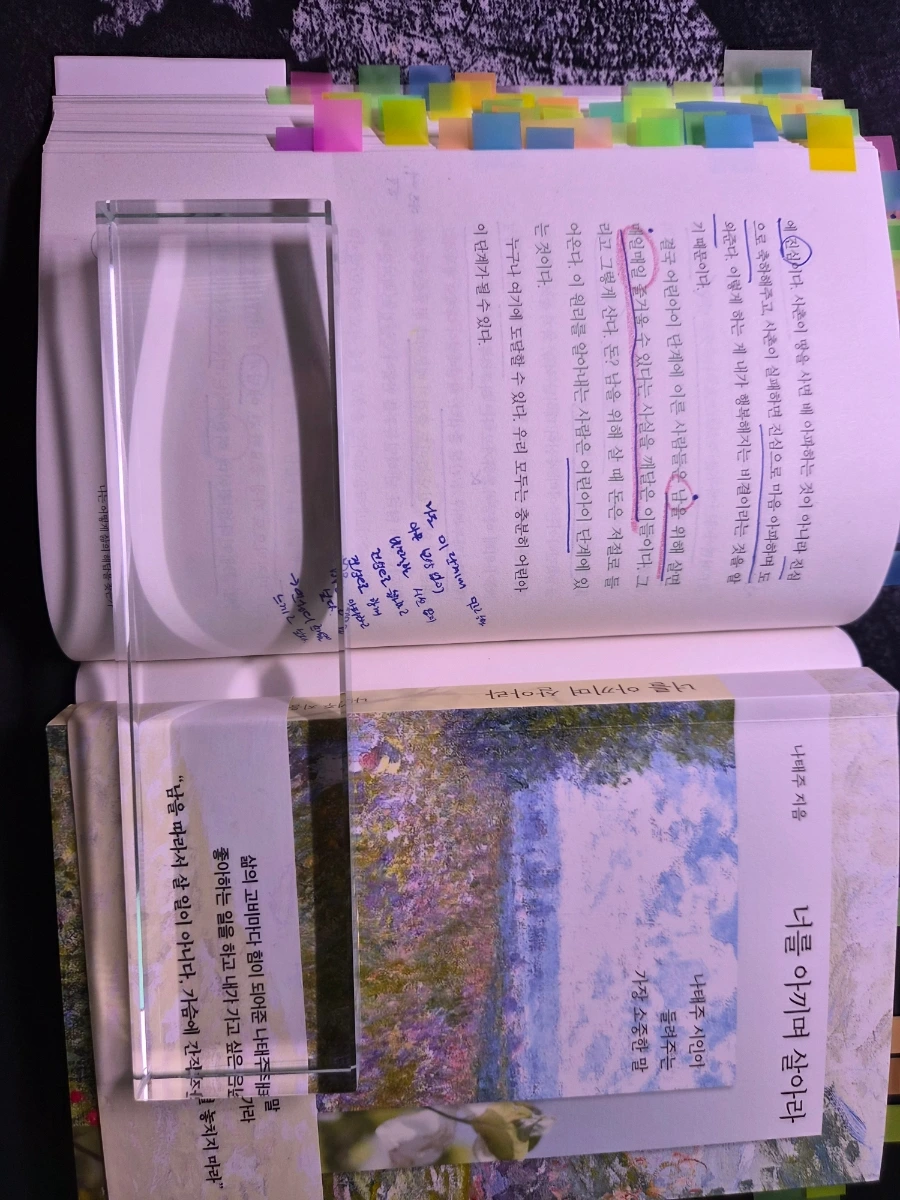 900%EF%BC%BF20250905%EF%BC%BF102439.jpg?type=w1