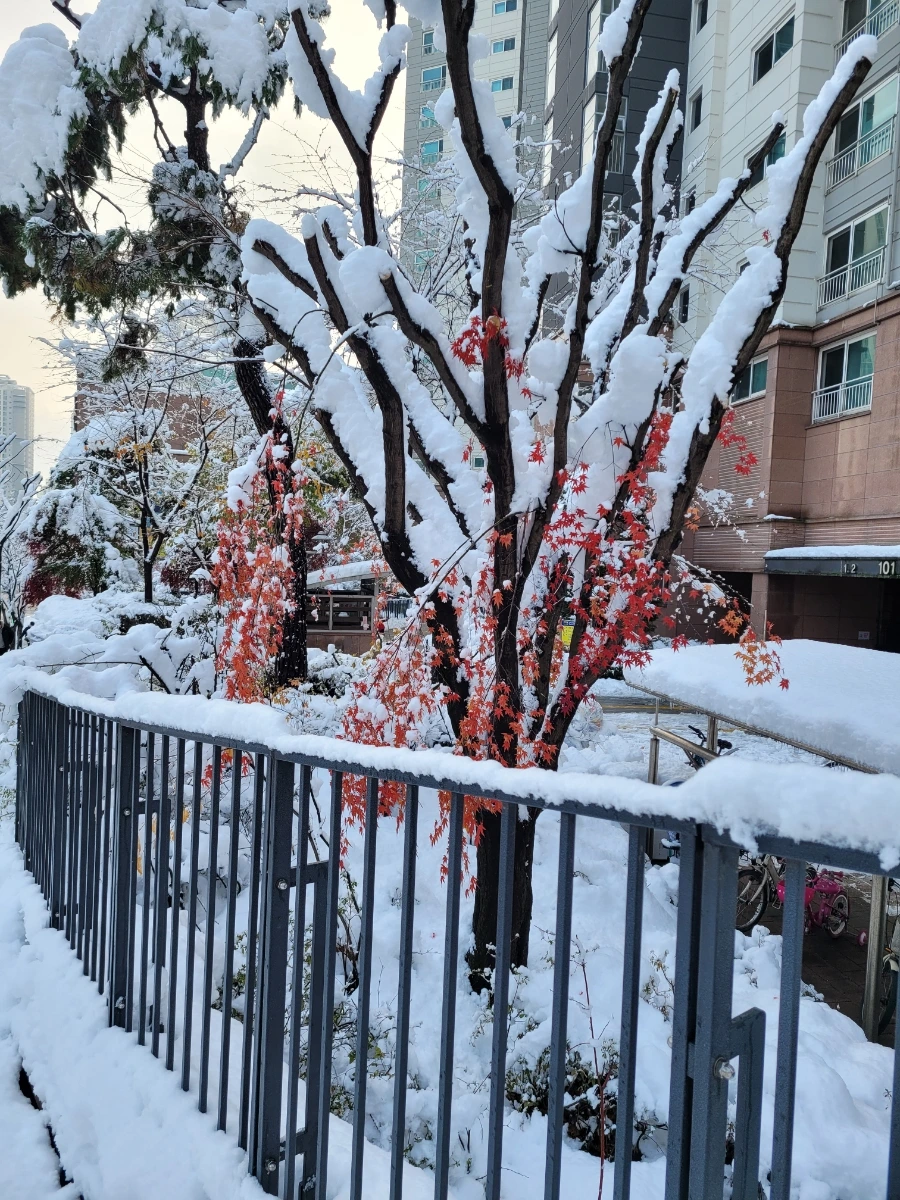 900%EF%BC%BF20241128%EF%BC%BF091647.jpg?type=w1