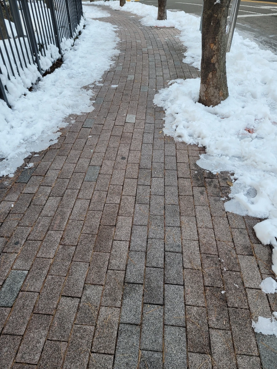 900%EF%BC%BF20241129%EF%BC%BF082319.jpg?type=w1