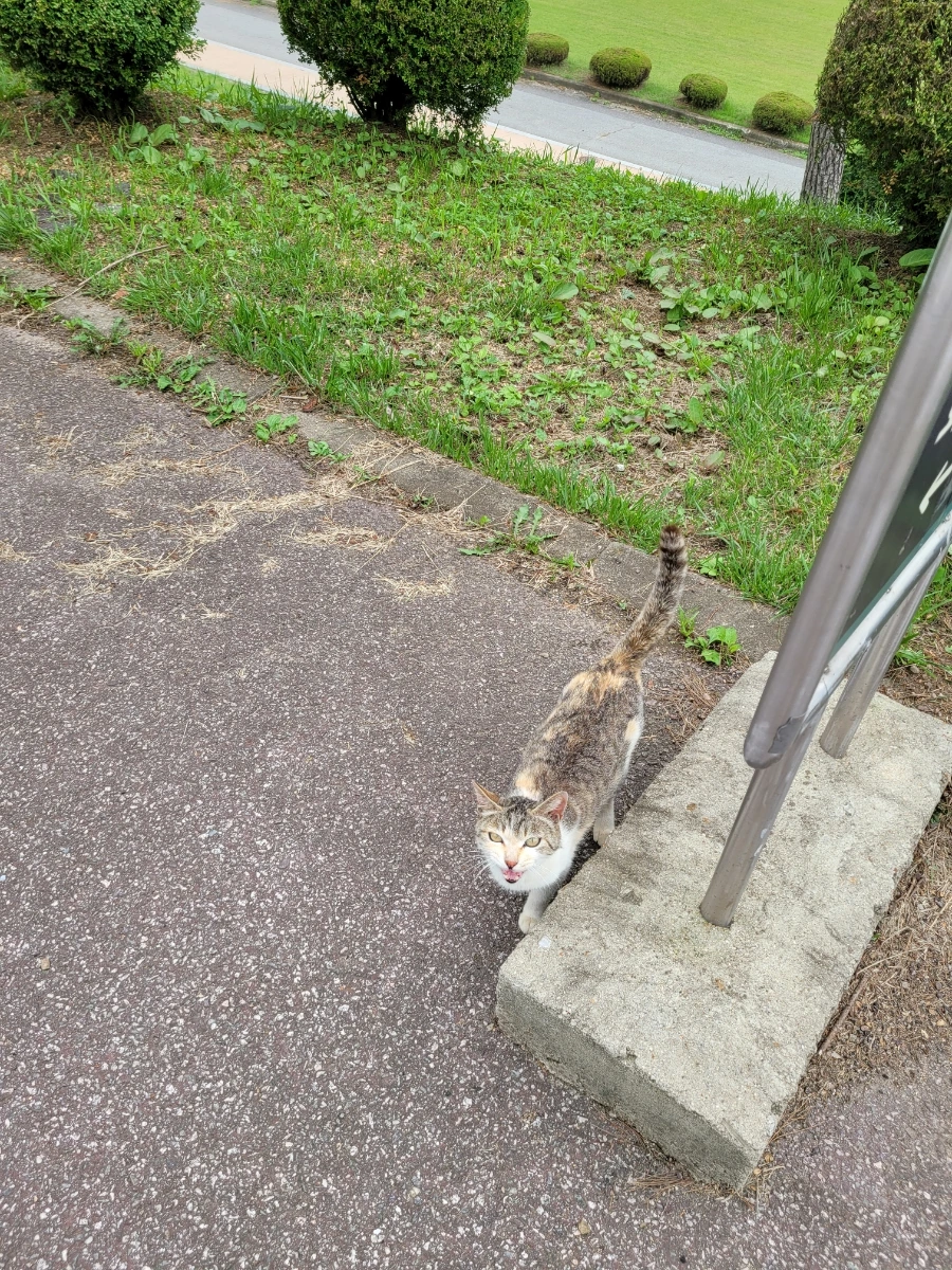 900%EF%BC%BF20250628%EF%BC%BF111419.jpg?type=w1