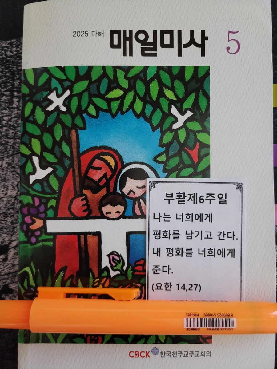 900%EF%BC%BF20250528%EF%BC%BF074235.jpg?type=w1