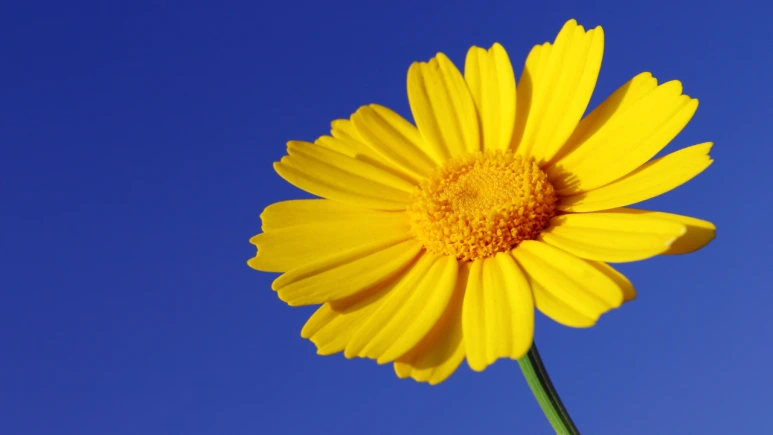 %EC%A0%9C%EB%AA%A9_%EC%97%86%EB%8A%94_%EB%94%94%EC%9E%90%EC%9D%B8_(14).png?type=w773