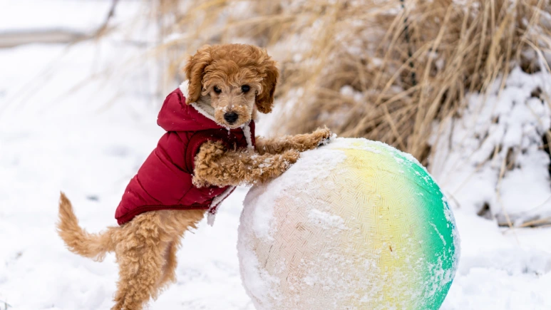 %EC%A0%9C%EB%AA%A9_%EC%97%86%EB%8A%94_%EB%94%94%EC%9E%90%EC%9D%B8_(29).png?type=w773