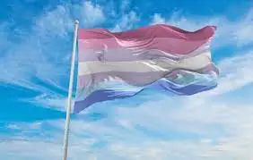 %EB%8B%A4%EC%9A%B4%EB%A1%9C%EB%93%9C.jpeg?type=w773