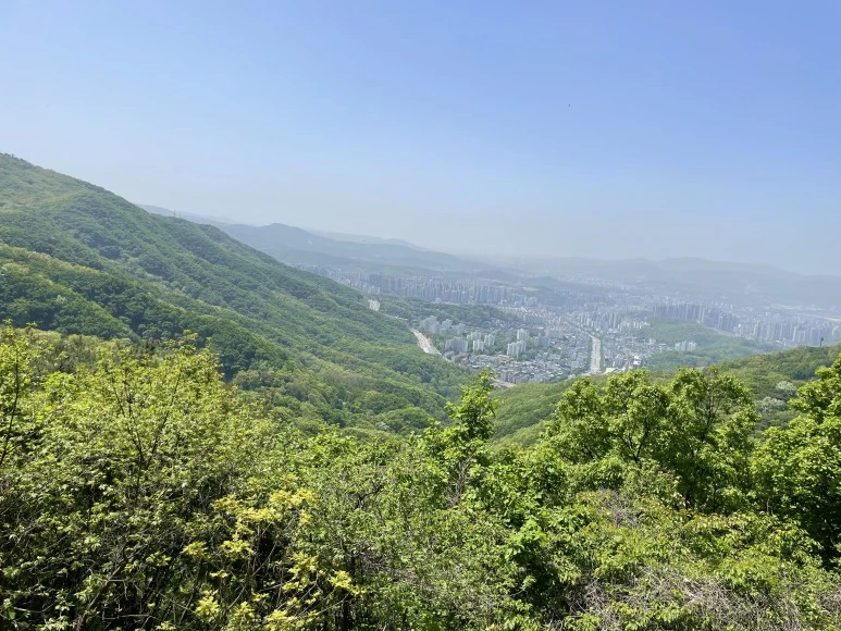 P20240427_112624384_D91B2502-E112-4BF7-A3B2-6A8B4B08A19E.jpg?type=w773