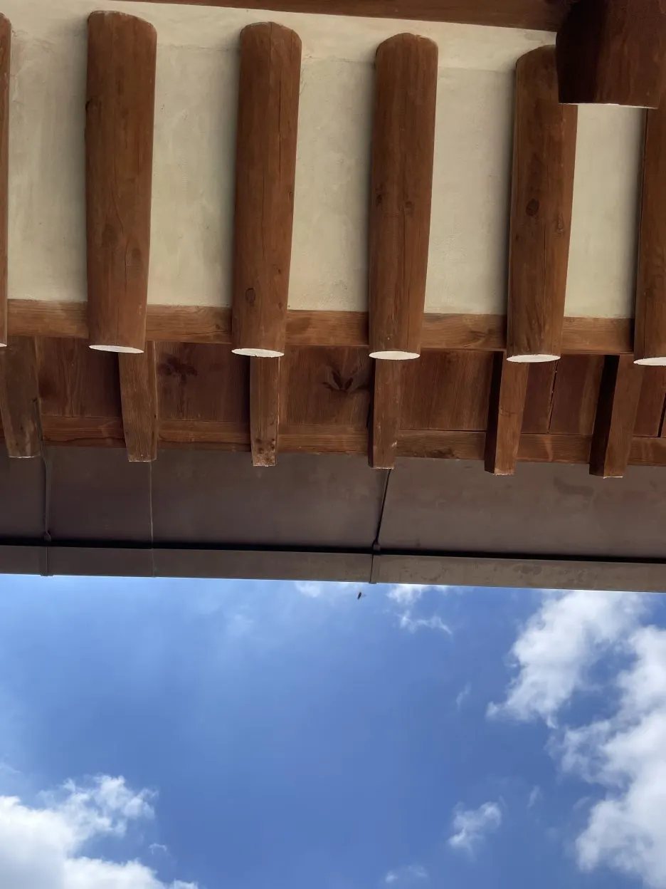 P20250614_105305205_43A09AAE-9F10-4E56-B9ED-CC7AC7D474BA.jpg?type=w1