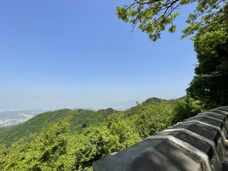 P20240427_123455422_51E4D74A-8ECF-44B9-BB54-7D4C2851A032.jpg?type=w773