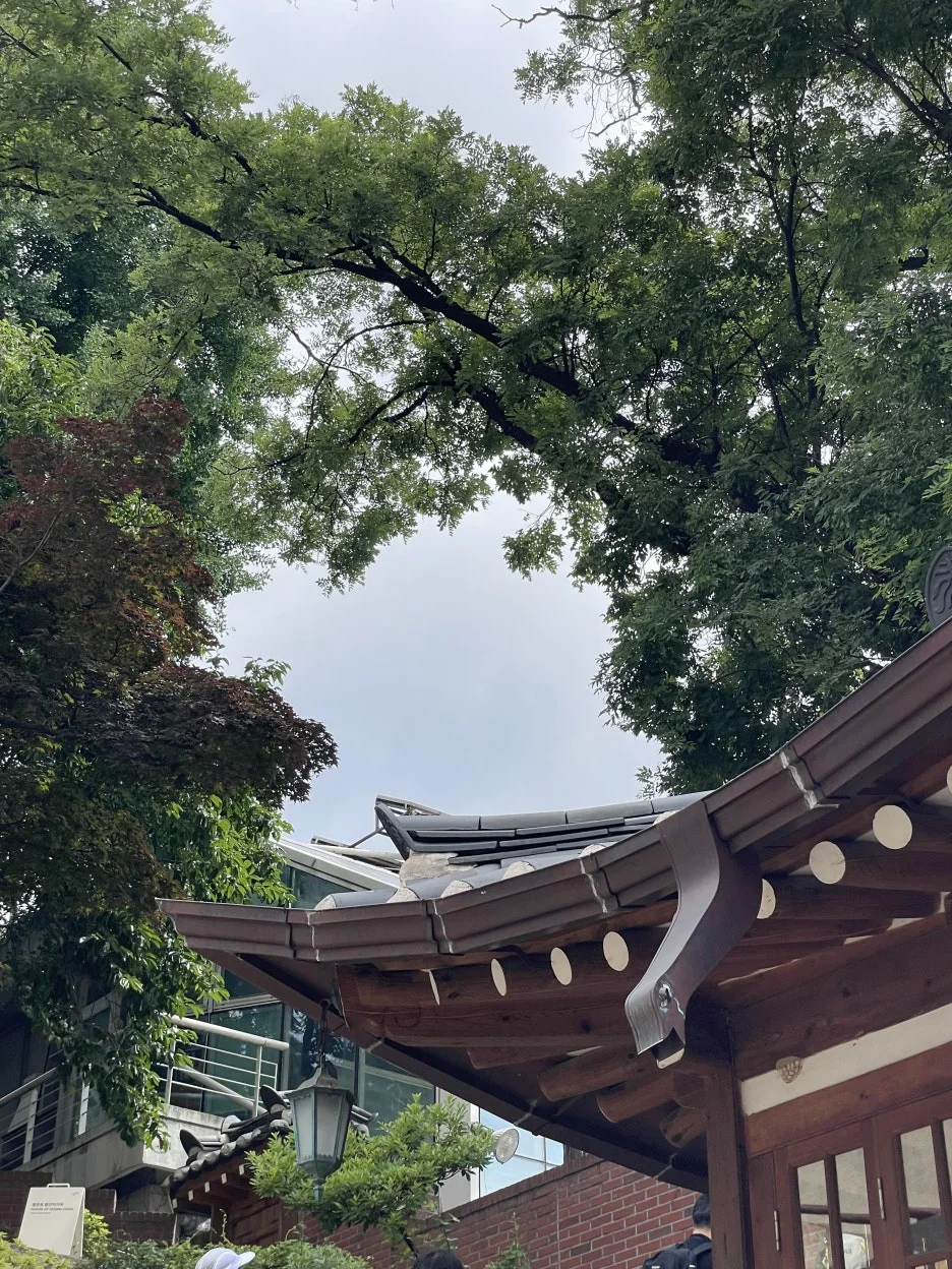 P20250614_103628208_585130B5-2DE6-4A9A-ABA2-BF077DBB6659.jpg?type=w1