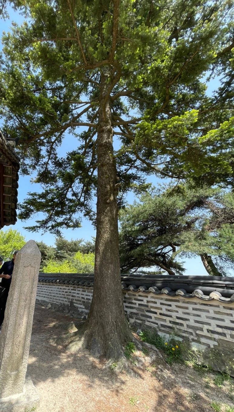 SE-675dc1c8-8d19-4068-9fce-9f6d0fcfcf18.jpg?type=w773