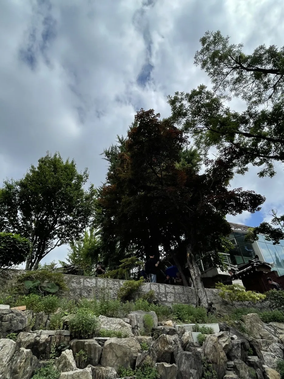 P20250614_103700341_3735097D-CEB9-4E7E-BEA2-805D3F072D26.jpg?type=w1