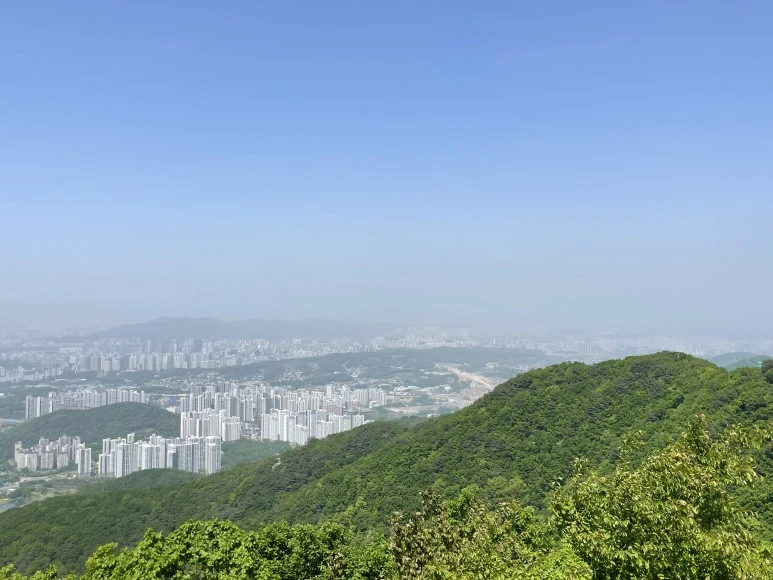 P20240427_123447659_80526842-0F1D-4E38-95E6-B92C3113869F.jpg?type=w773