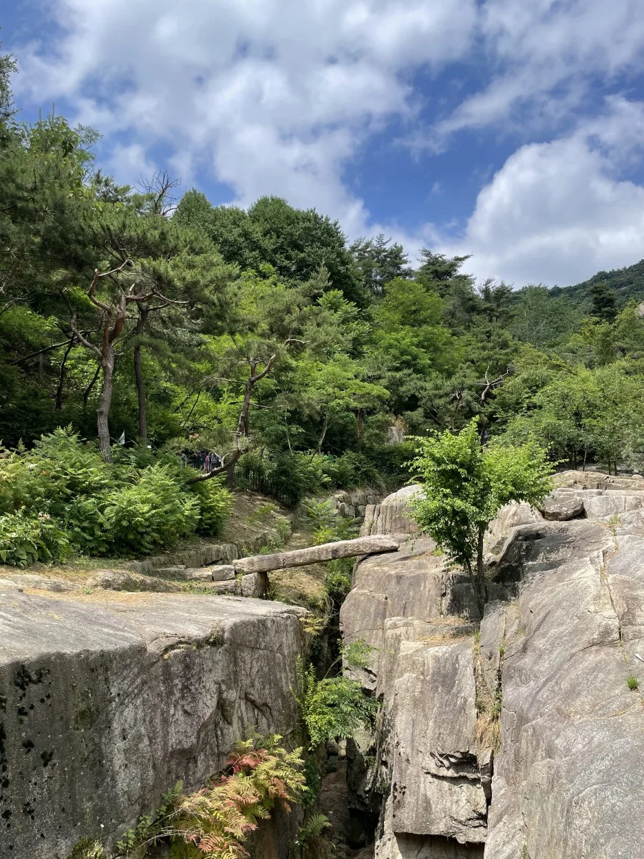 P20250614_112130750_CCDEEA20-F68D-4EBE-92F4-E6AAB6BBC88C.jpg?type=w1