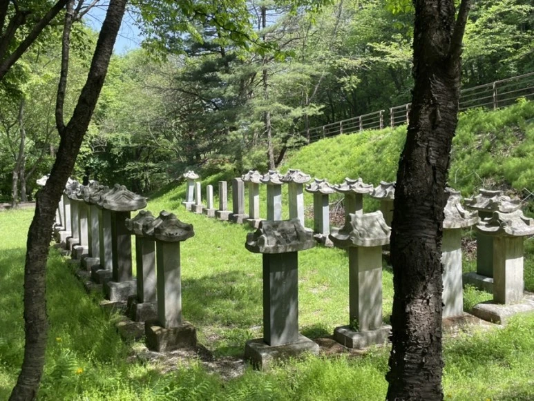 IMG_5201.jpg?type=w773