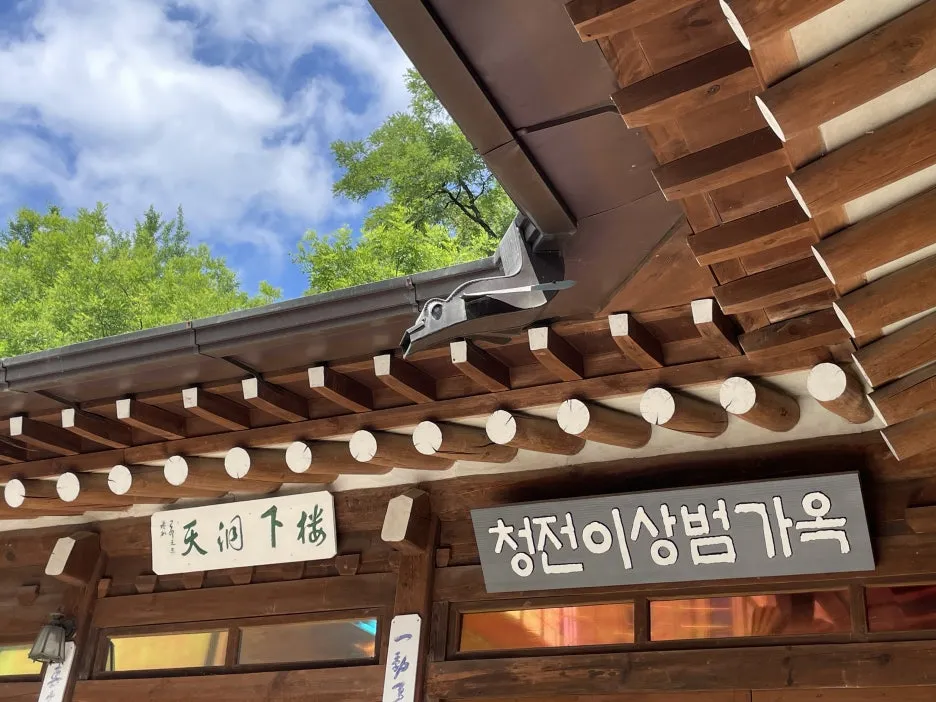 P20250614_105040223_93897A01-2F67-4359-AEED-39DB41233D18.jpg?type=w1