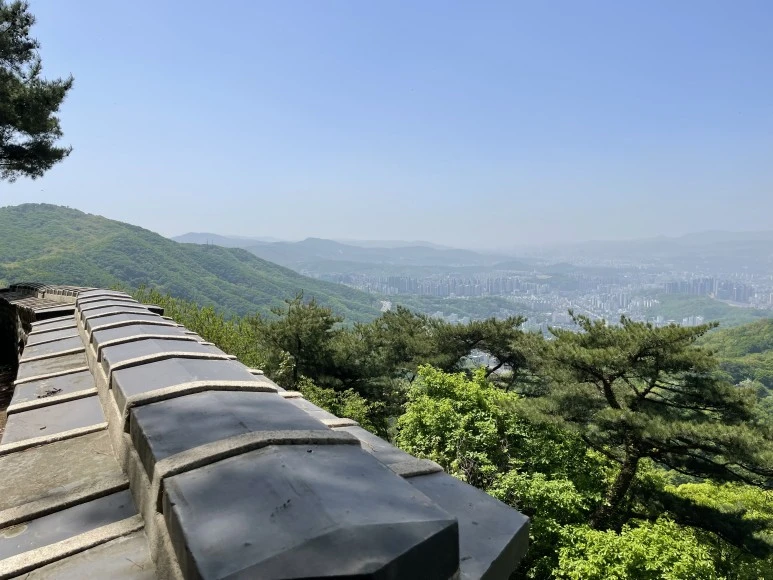 P20240427_112813815_60C2D59C-1525-4BF3-9887-E4D2960F561C.jpg?type=w773